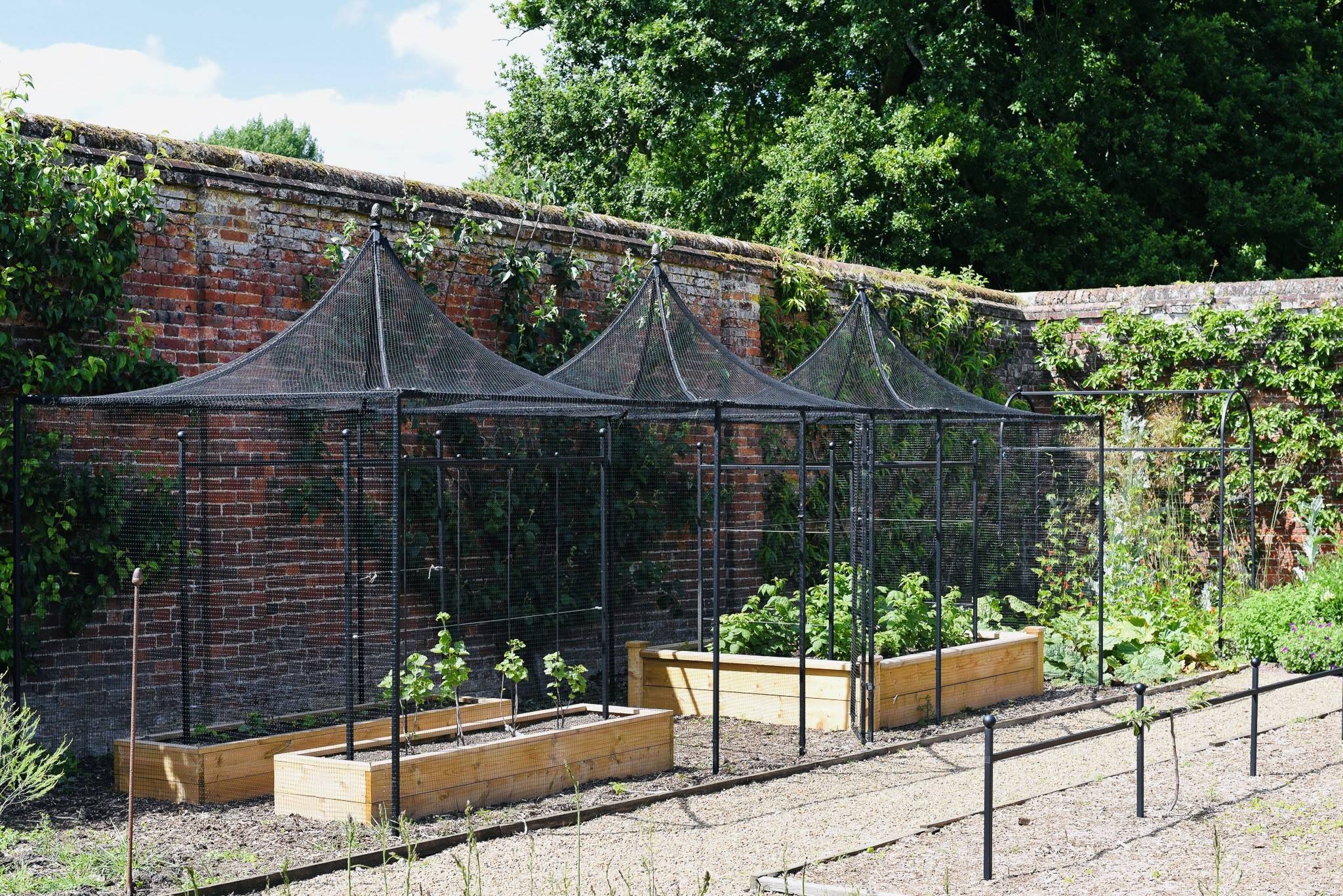 Hoveton fruit cages