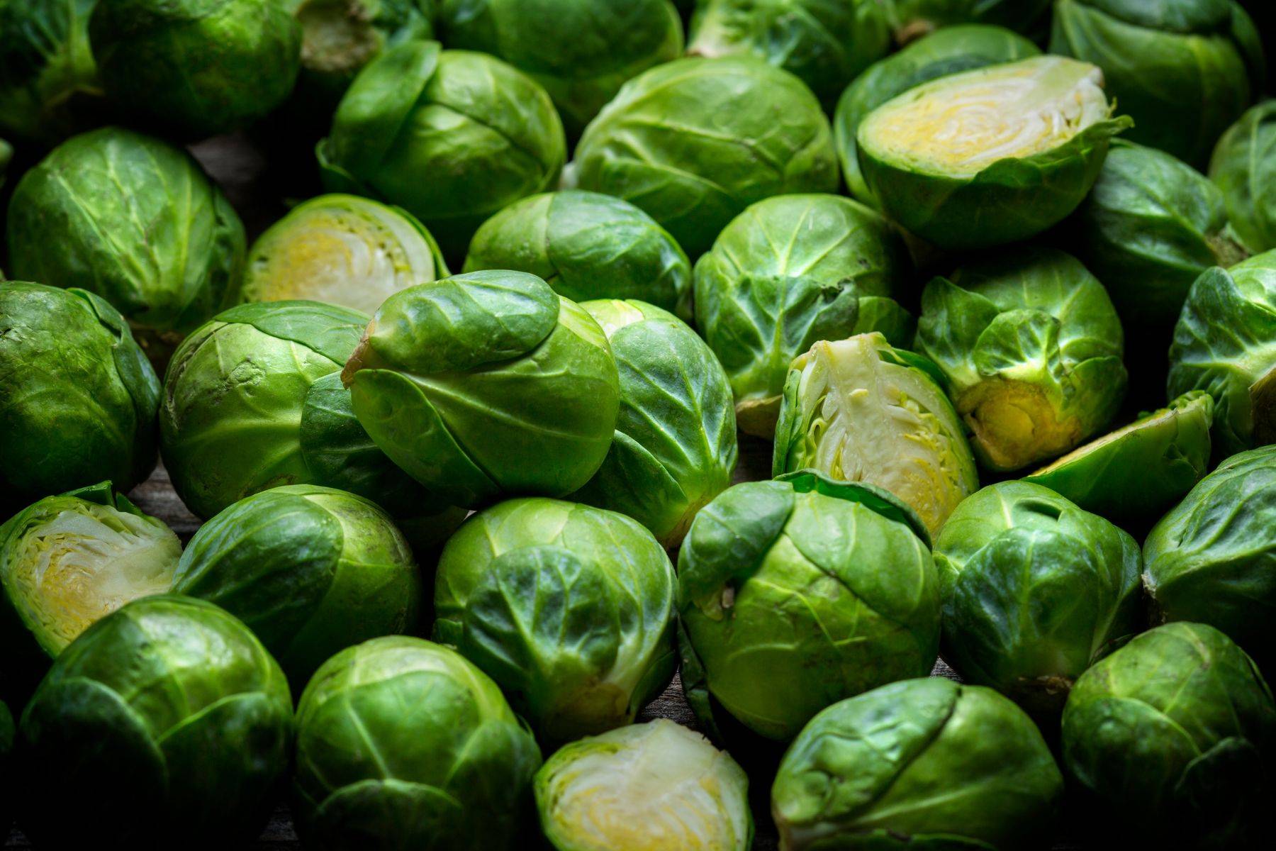 sprouts blog