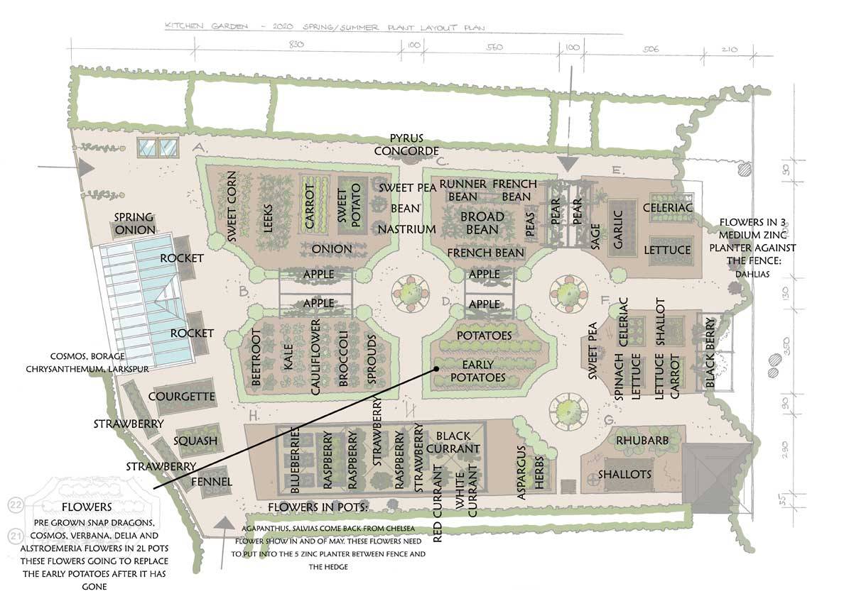 Kitchen Garden Plan 2020 3