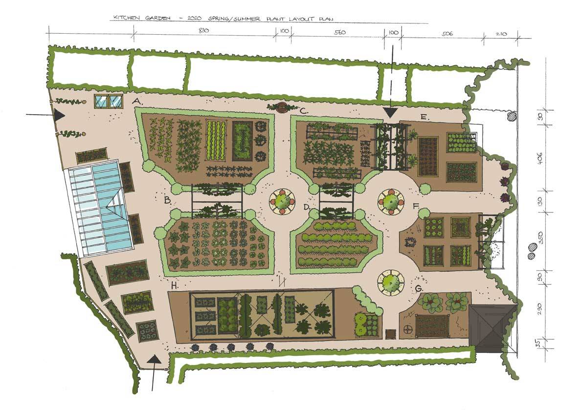 Kitchen Garden Plan 2020 2