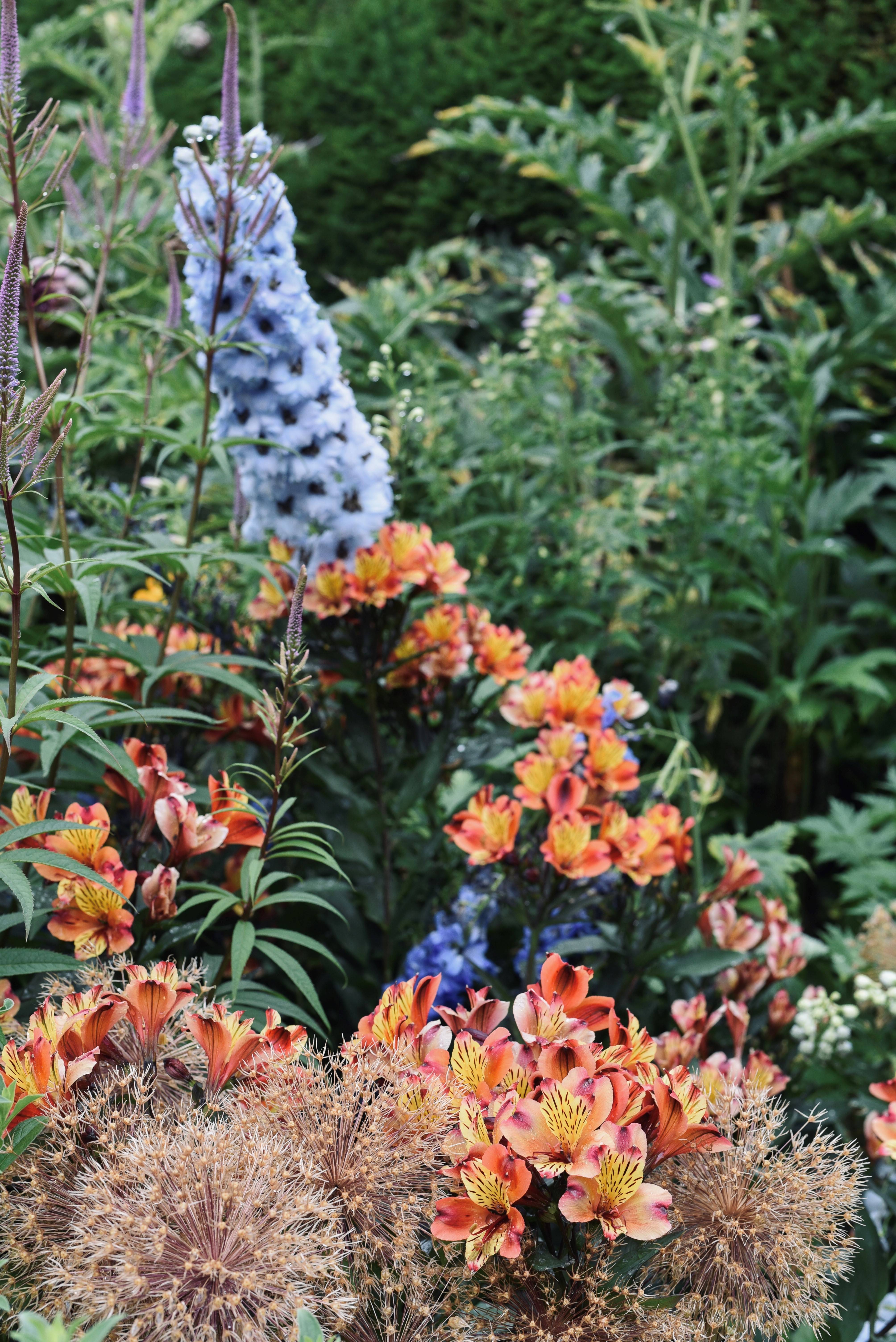 Bishops Garden - mixed flowers 2