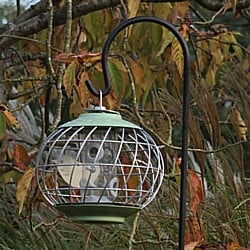 Bird-Feeder-271118