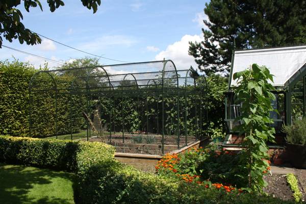 Coloured Arch Fruit Cage 2