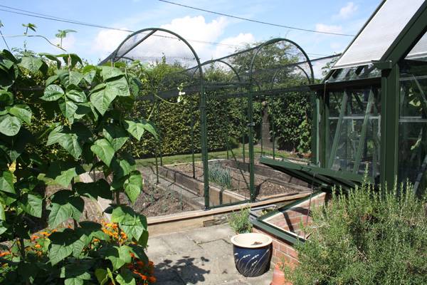 Coloured Arch Fruit Cage 3