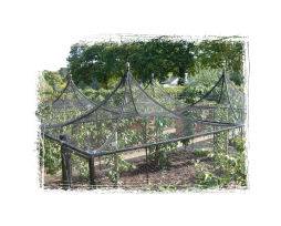 Steel Fruit Cage at RHS Wisley