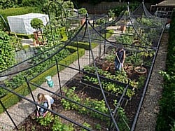 Decorative Fruit Cage