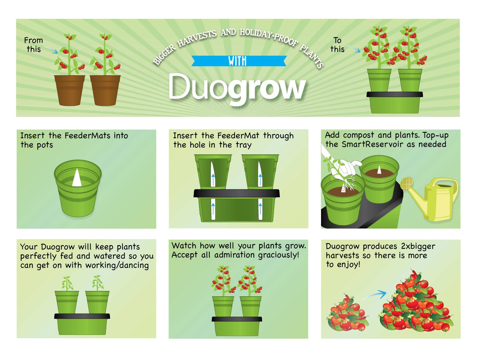 Duo Grow Storyboard