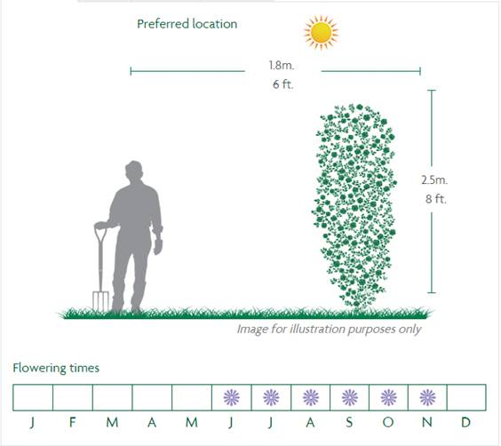 Eden Rose Location Diagram