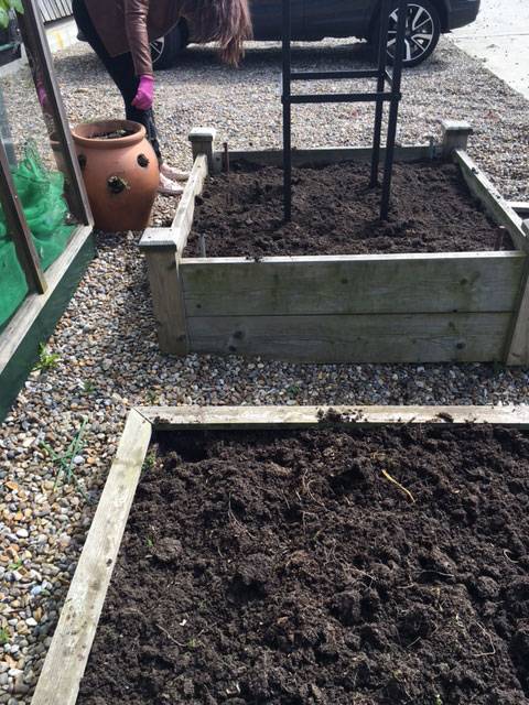 Filling Raised Beds