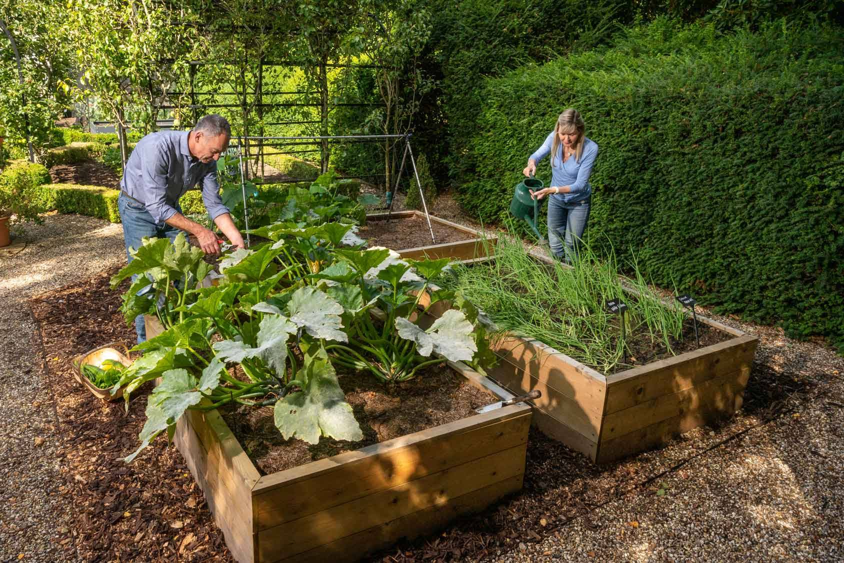 Allotment Beds for Blog 1