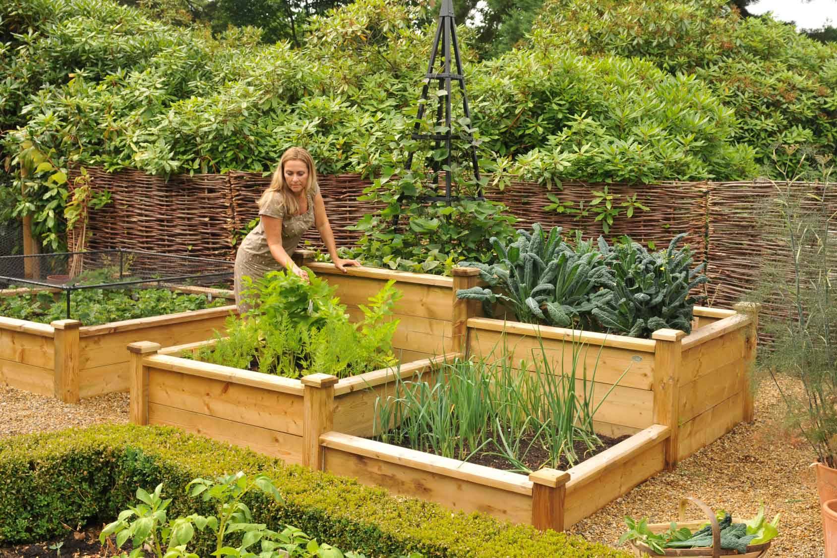 Superior Wooden Raised Beds