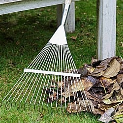 Spring-Tine-Rake-280918