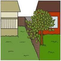 Garden Boundaries