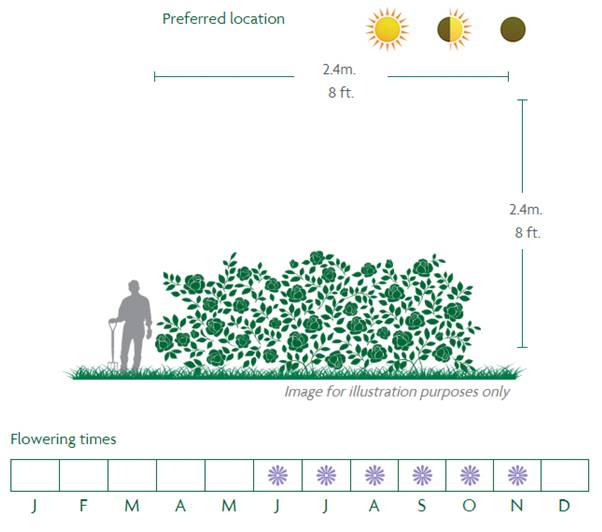 Ghislaine de Feligonde location diagram