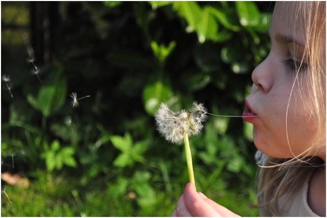 Girl Blowing Dandelion