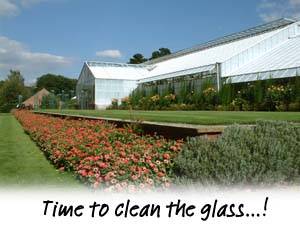 Wisley Glass