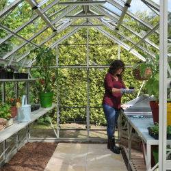 Greenhouse Interior