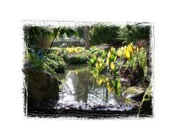 HarlowCarr4