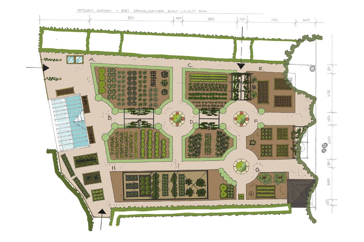 Kitchen Garden 2021 Layout