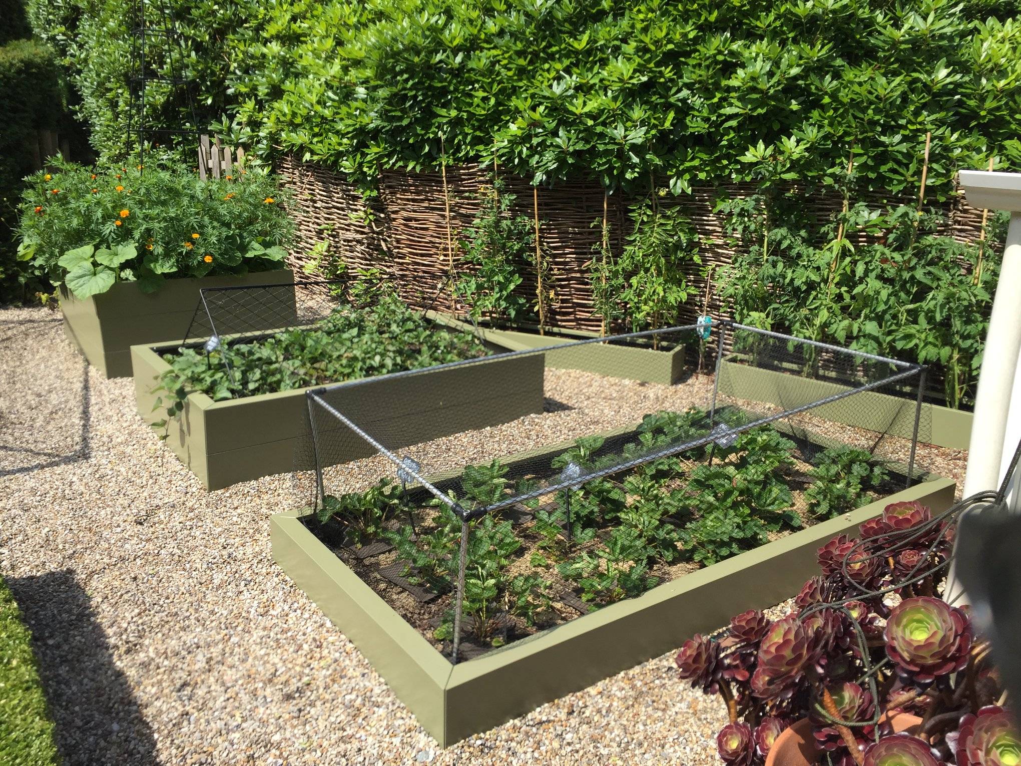 Kitchen-Garden-120719