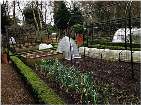 Kitchen Garden January 16