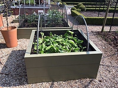 Kitchen-Garden-Raised-Beds-180418