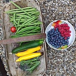 Kitchen-Garden-Harvest-130718