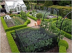 Kitchen Garden 220615