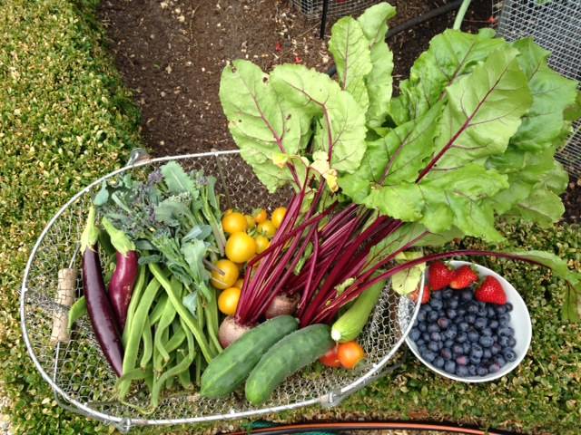 Kitchen Garden Harvest