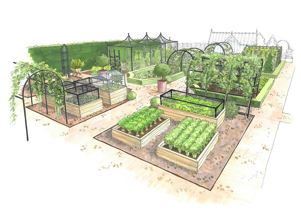 Kitchen Garden Back View illustration