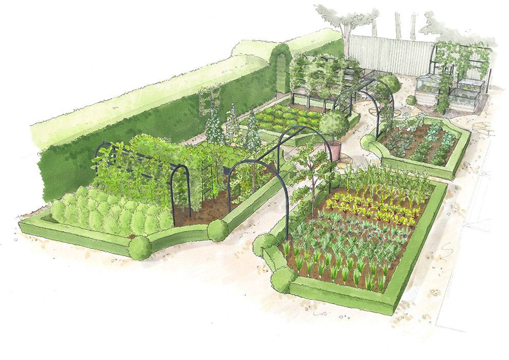 Kitchen Garden Front View illustration