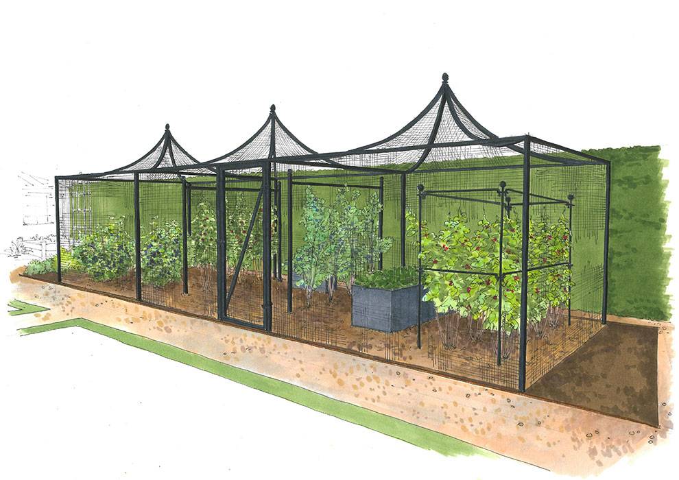 Kitchen Garden Peak Roof Cage Illustration