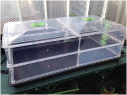 Kitchen Garden Propagator 260115