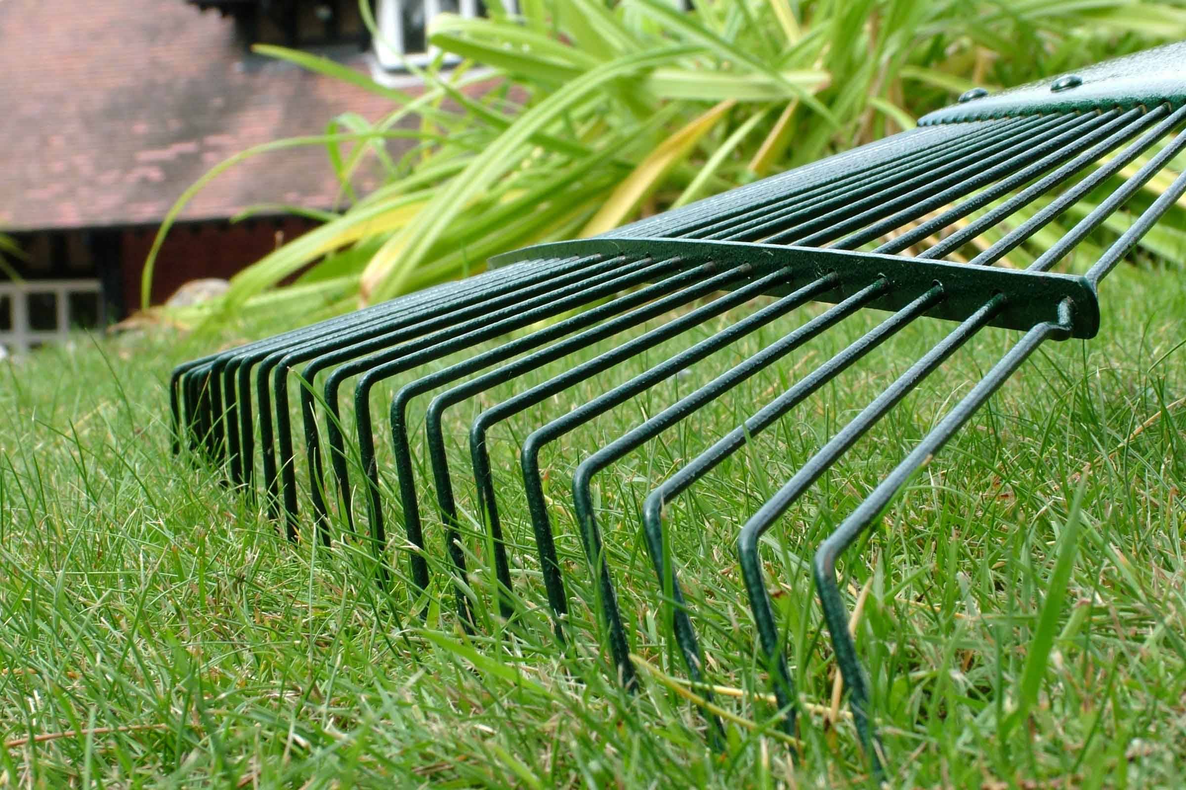 Lawn Rake