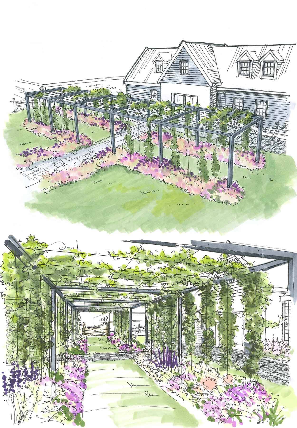 Modern Pergola Image 2