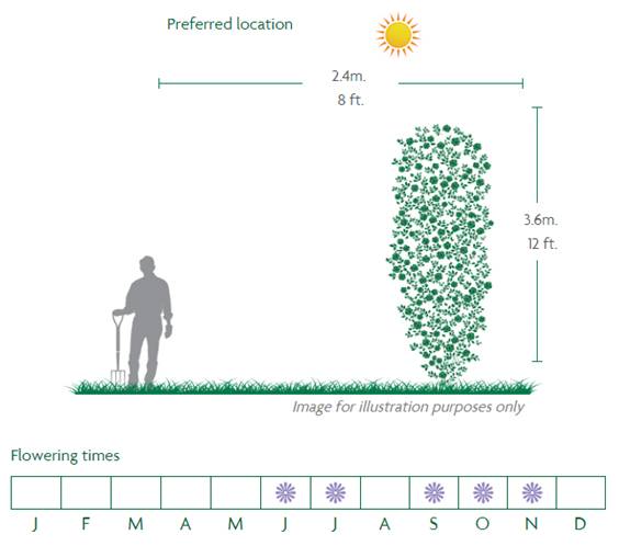 Penny Lane Location Diagram