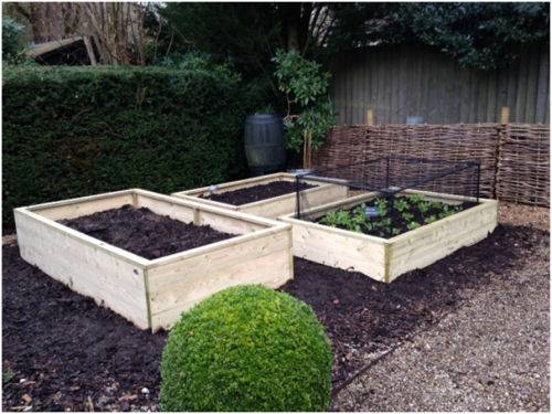 raised beds 210316