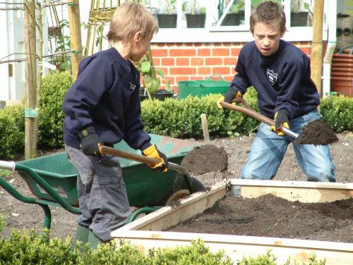 Raised Beds and Children