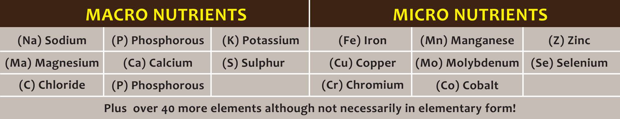 Remin rock dust nutrients table