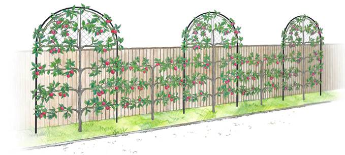 Roman Garden Screens with Gripple