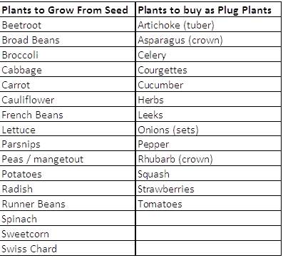 Seed & Plug Plants
