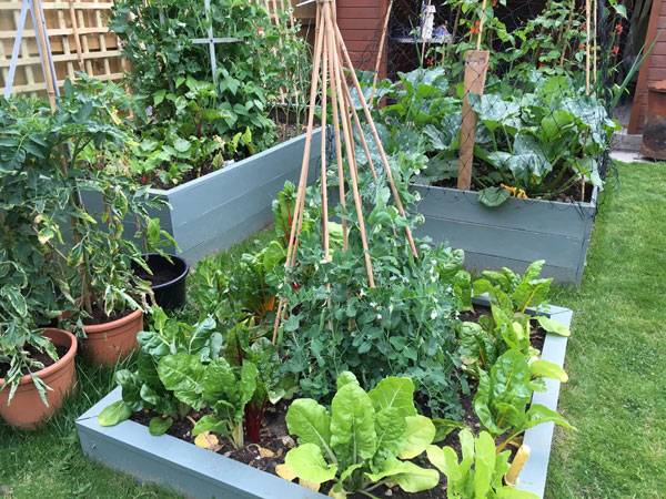 Sheena Raised Bed