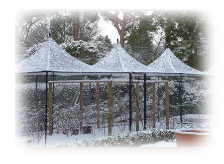 SnowyFruitCage