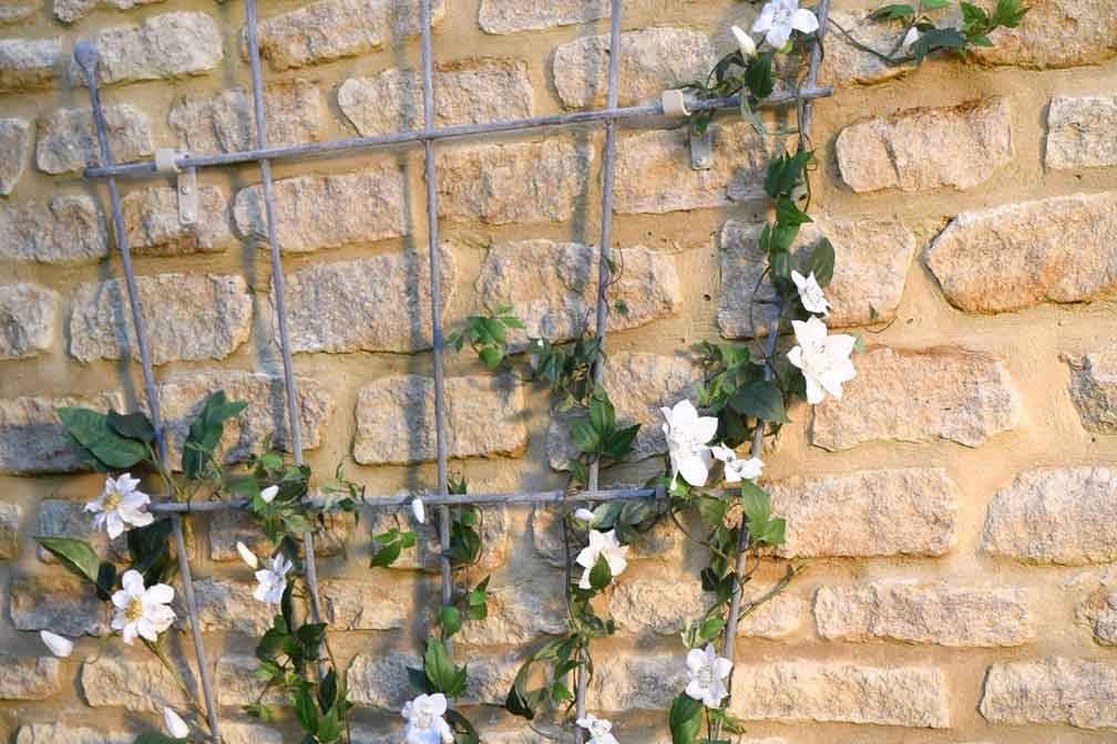 Southwold-5-Fan-Trellis-1_3090.jpg