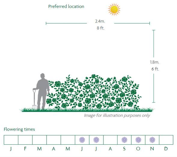 Stamfords Sanctuary Location Diagram