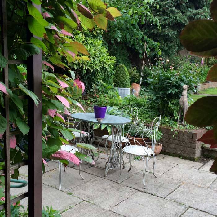 Terrace Framed by Henryiana Virginia Creeper