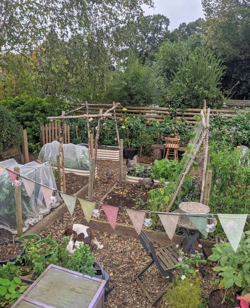 Amy veg patch before