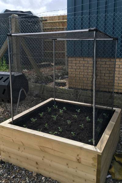 Vegetable Cage