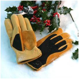 Winter Touch Gloves