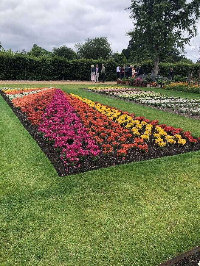 Wisley Blog July 2021 6